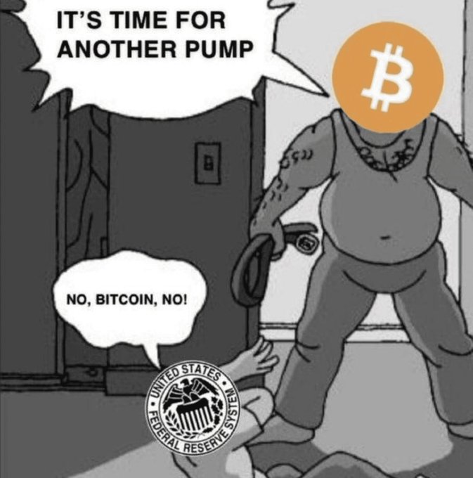 A political cartoon showing a large figure with a Bitcoin logo for a head, labeled 'IT'S TIME FOR ANOTHER PUMP', looming over a small, cowering figure with the 'United States Federal Reserve System' seal who is yelling 'NO, BITCOIN, NO!'.