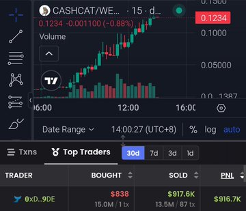The image shows a trading chart for the $CASHCAT/WE… token (priced at $0.1234, down 0.88%), along with a Top Traders panel highlighting trader "6xD…9DE" who bought $838 worth (15.0M tokens) and sold $917.6K, netting a profit of $916.7K over a 30-day period. This directly supports the post's claim of turning an ~$800 investment into nearly $900K in profit through holding, with the trader stats visually confirming the massive gains.