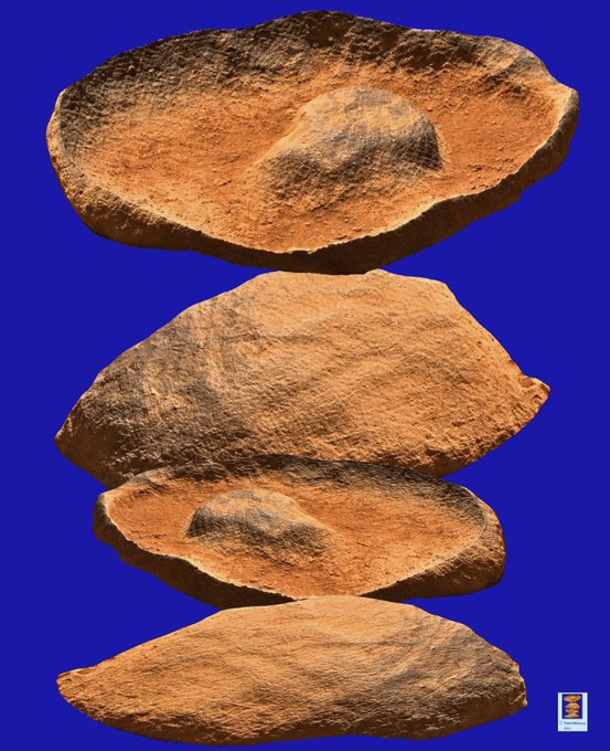Four stone tools or grinding stones stacked vertically against a solid blue background, appearing to be ancient artifacts.