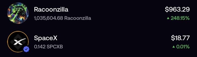 The image shows a portfolio display featuring two crypto holdings: **Racoonzilla** at $963.29 with a massive 248.15% gain (holding 1,035,604.68 tokens), and **SpaceX** at $18.77 with a tiny 0.01% gain (holding 0.142 SPCXB). The post celebrates the Racoonzilla gains and newly acquired SpaceX position, urging others to buy early.
