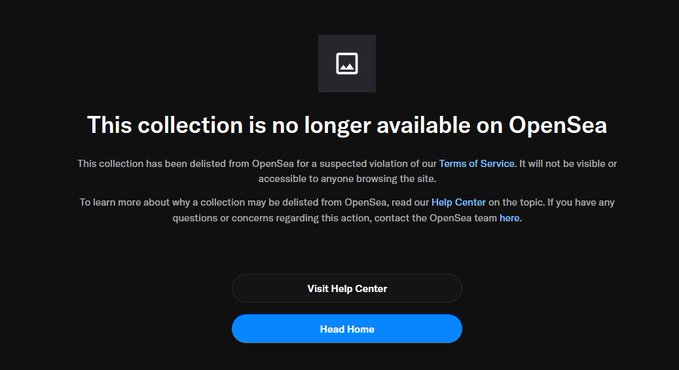 A dark webpage screenshot from OpenSea states 'This collection is no longer available on OpenSea,' explaining it was 'delisted from OpenSea for a suspected violation of our Terms of Service,' with buttons to 'Visit Help Center' and 'Head Home'.