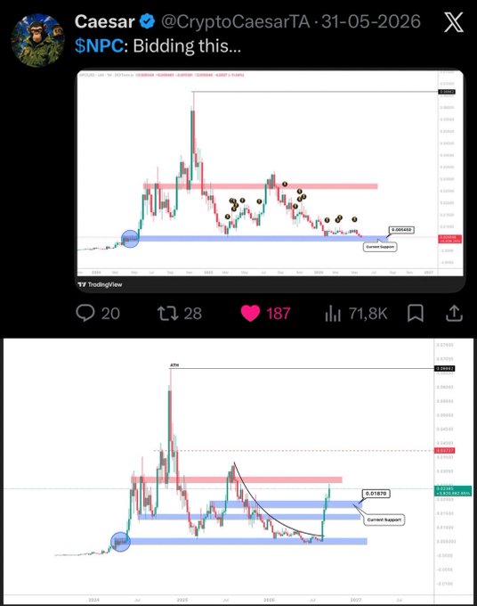 A tweet from Caesar (@CryptoCaesarTA) dated 31-05-2026 announces he is "Bidding this..." on $NPC, accompanied by two TradingView charts showing the token's price action with marked support levels around 0.0157-0.0195 and highlighted "Current Support" zones near recent lows, visually reinforcing his bullish thesis that NPC will test all-time highs.