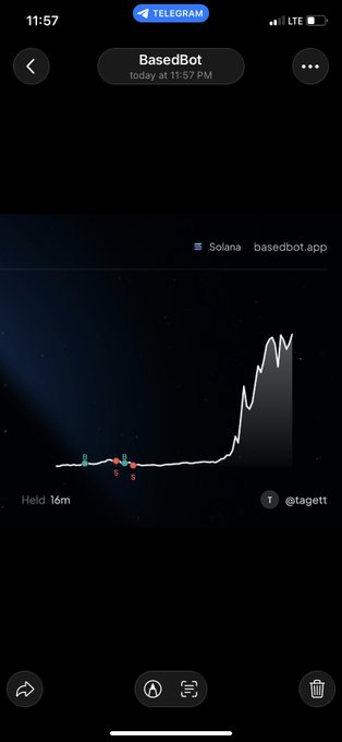 A Telegram screenshot from "BasedBot" shows a Solana token chart on basedbot.app with a massive late surge after an initial dip, illustrating the trader's loss—they "took a shot and missed" on what appears to have been a 50x leveraged position that briefly spiked before reversing.