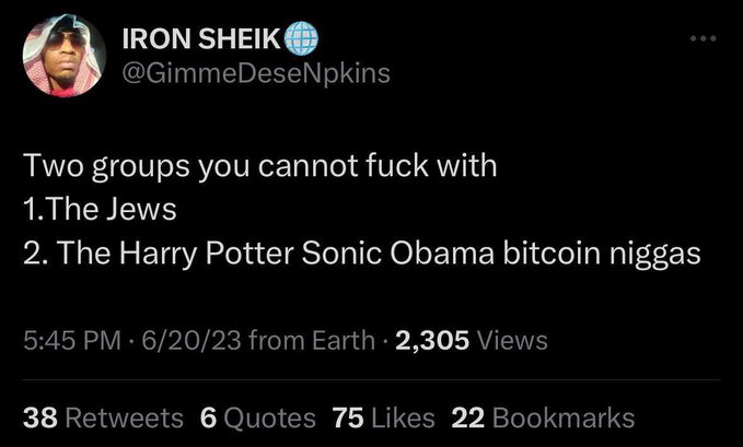 A tweet from user IRON SHEIK (@GimmeDeseNpkins) reading: 'Two groups you cannot fuck with 1. The Jews 2. The Harry Potter Sonic Obama bitcoin niggas' posted at 5:45 PM on 6/20/23 with 2,305 views.