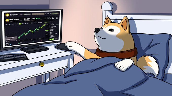 An animated illustration of a Shiba Inu dog in bed using a computer, watching a stock chart for "HACHIKO" trading at $0.0004287.