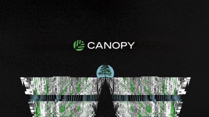 CANOPY network logo displayed above a stylized mirrored structure with a tree in the center on a black background.
