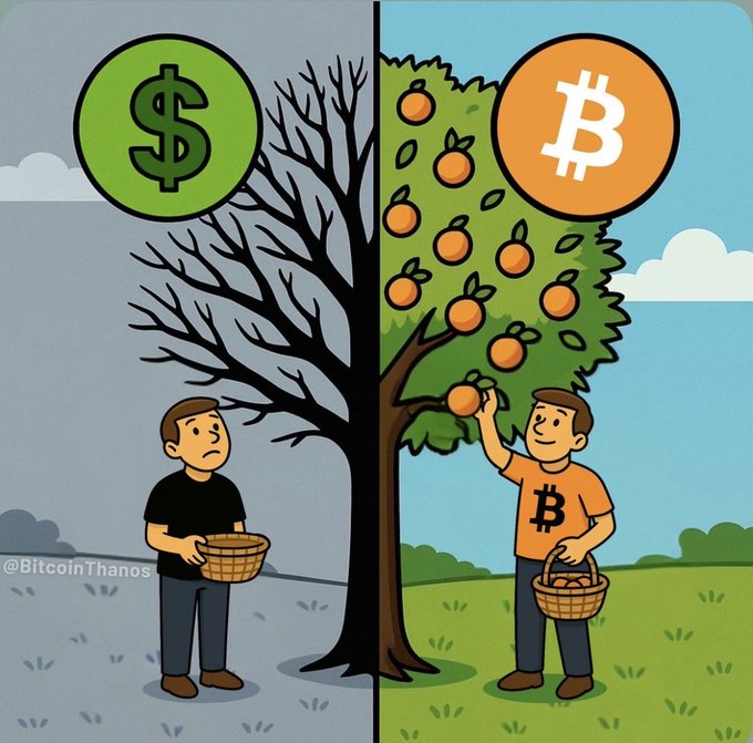 A cartoon illustration by @BitcoinThanos showing two men with a split tree - one holding an empty basket under a dead dollar tree, the other harvesting oranges from a bitcoin money tree.