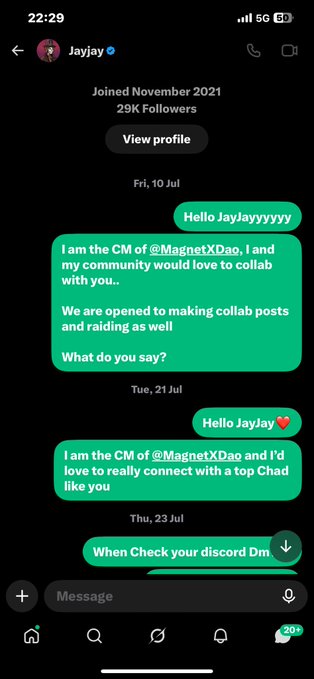 A screenshot of a direct message conversation on X (formerly Twitter) where a user named Jayjay pitches a collaboration, stating "I am the CM of @MagnetXDao" and asking "What do you say?" and "When Check your discord Dm".