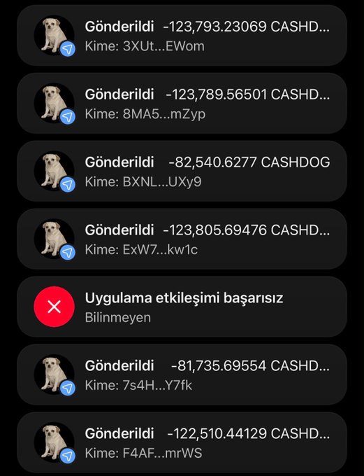 The image shows a series of transaction notifications in Turkish, displaying multiple "Gönderildi" (Sent) entries with large negative amounts of "CASHDOG" tokens being transferred to various wallet addresses (e.g., 3XUt...EWom, 8MA5...mZyp), along with one failed application notification ("Uygulama etkileşimi başarısız"). The transactions illustrate the distribution phase of a $CASHDOG token airdrop mentioned in the post, where tokens are being sent in bulk to participants, though the amounts shown (~80,000-120,000 CASHDOG) appear significantly larger than the 50-100$ equivalent promised in the airdrop announcement.