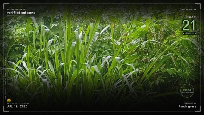 Lush green grass fills the frame, overlaid with "PROOF OF GRASS verified outdoors," "CURRENT STREAK DAY 21," and a "TOP 5% GRASS TOUCHER" badge dated "JUL 19, 2026," visually reinforcing the 21-day outdoor streak claim despite the rainy conditions mentioned.