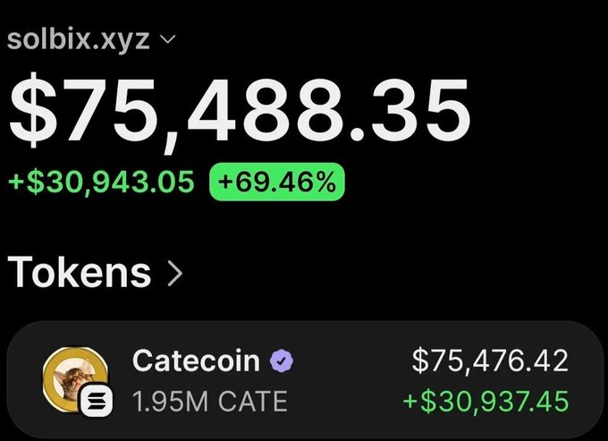 A crypto portfolio screen showing 'solbix.xyz' with a balance of $75,488.35, up $30,943.05 (69.46%), featuring a token called 'Catecoin' (1.95M CATE) valued at $75,476.42.