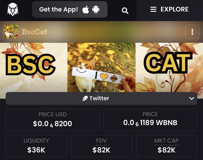 Cryptocurrency page for 'BscCat' showing its price as $0.0₄8200 USD or 0.0₆1189 WBNB, with a liquidity of $36K and market cap of $82K.