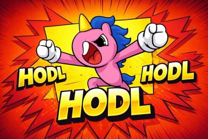 Cartoon image of an angry pink unicorn with a blue mane shouting with raised fists, surrounded by the word 'HODL' repeated three times against an explosive orange and yellow background.