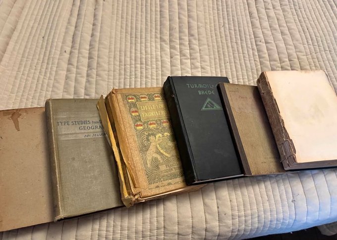 A row of five old books resting on a striped mattress, including titles like 'Type Studies from Geography' and 'Little Journeys', with one labeled 'TURMOIL' in Greek.