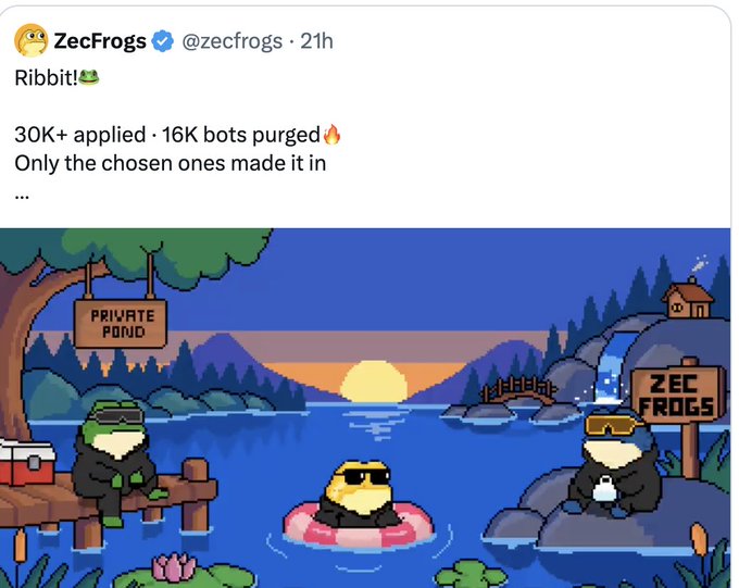 A ZecFrogs tweet celebrates "Ribbit!" with 30K+ applicants and 16K bots purged, showing a pixel-art pond scene with frogs wearing sunglasses on a "Private Pond" and "Zec Frogs" signs, with one frog floating on a swim ring at sunset. The image relates to the post by highlighting the selective minting process on Zcash, reinforcing the user's skepticism about broader protocol enthusiasm while acknowledging ZecFrogs as a standout project worth participating in.