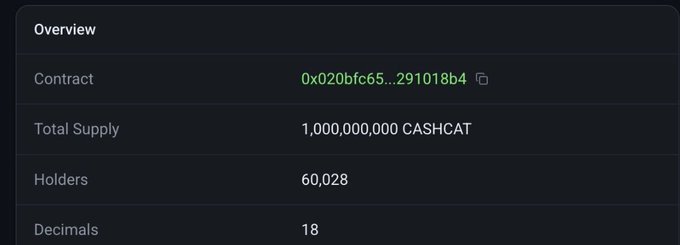 An "Overview" panel displays CASHCAT token statistics, including the contract address starting with 0x020bfc65...291018b4, a total supply of 1,000,000,000 CASHCAT, 18 decimals, and 60,028 holders—confirming the milestone of crossing 60k holders.