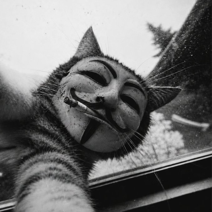 A black-and-white photo of a cat wearing a Joker-style smiling mask and holding a lit cigarette in its mouth, viewed through a window.