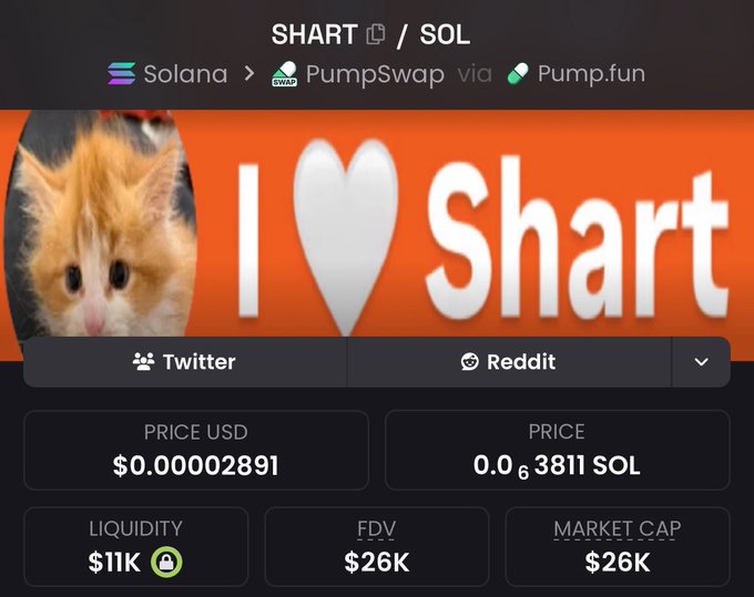 A crypto trading page showing the SHART/SOL token on Solana via PumpSwap/Pump.fun, featuring a cat meme image and the I ❤️ Shart logo, with a price of $0.00002891 USD and a market cap of $26K.