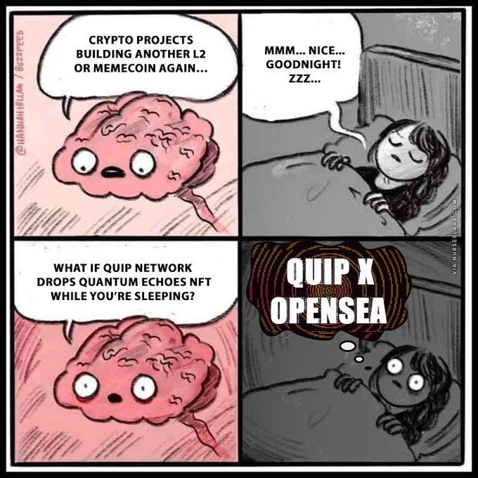 A four-panel comic by @hannahkwan featuring a sleeping brain and person, with text about crypto projects, QUIP Network dropping a Quantum Echoes NFT, and a 'QUIP X OPENSEA' announcement.