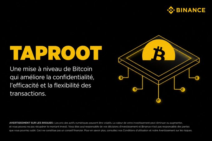 A Binance promotional graphic in French explaining Taproot ('TAPROOT'), described as 'Une mise à niveau de Bitcoin qui améliore la confidentialité, l'efficacité et la flexibilité des transactions,' featuring a stylized Bitcoin diamond logo.