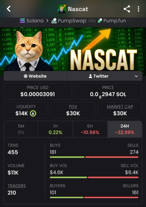 A crypto token profile page for 'NASCAT' (a cat meme coin) on the Solana blockchain via PumpSwap, showing a price of $0.00003091, $30K market cap, and 24h price change of -32.99% with 455 transactions.