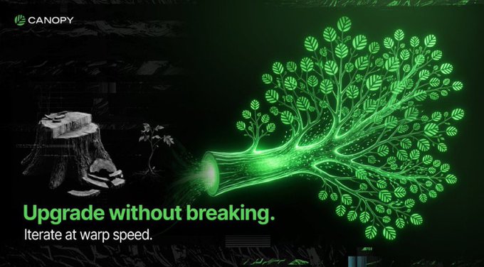 A dark promotional graphic for 'CANOPY' displaying a glowing green digital tree alongside a carved tree stump, with the tagline 'Upgrade without breaking. Iterate at warp speed.'