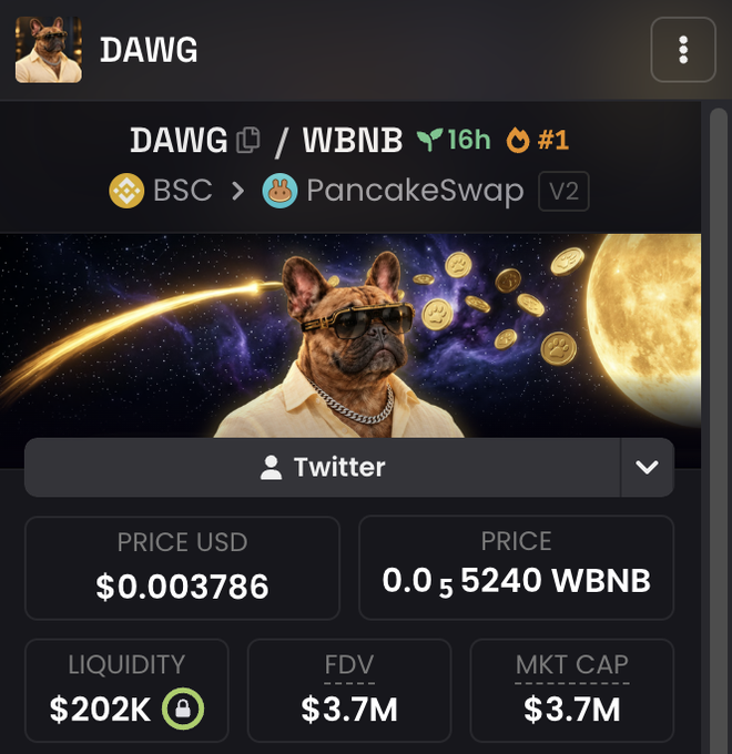 The image shows a cryptocurrency tracker page for the meme token DAWG, trading on PancakeSwap (V2) on the BSC network as a DAWG/WBNB pair, currently ranked #1 with a price of $0.003786 USD (0.05𝟓240 WBNB), a market cap of $3.7M, and $202K in locked liquidity. The visual ties directly to the accompanying bullish post, which teases a "next leg up" price rally for $DAWG alongside a contract address for potential buyers.