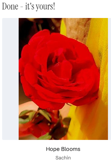 A vibrant red rose fills the frame with its petals in full bloom against a yellow backdrop. Below the image is the text "Done - it's yours!", along with the artwork's title "Hope Blooms" and artist name "Sachin," relating to the post about acquiring the piece on objkt.com with proceeds supporting earthquake relief in Venezuela.