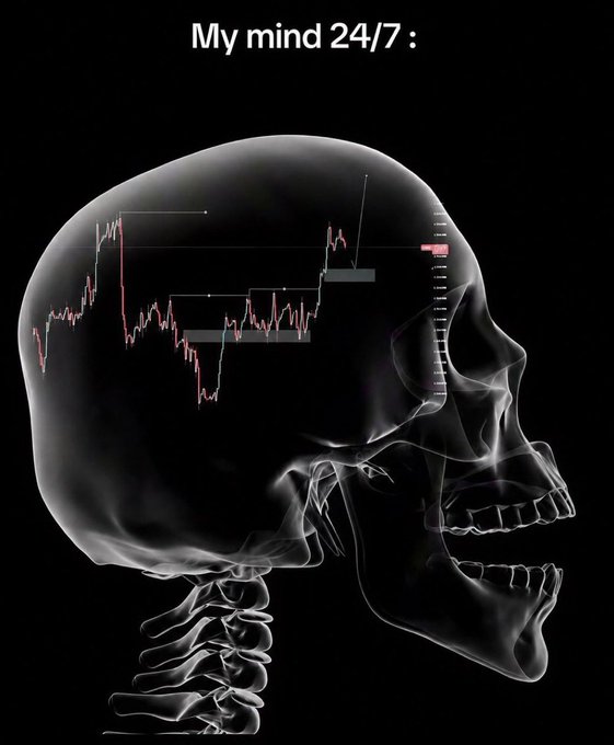 A meme showing an X-ray style skull profile with a financial candlestick chart inside the head and the caption 'My mind 24/7 :'.