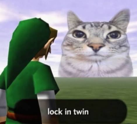 A meme featuring Link from The Legend of Zelda facing a giant cat head against a sky background, with the caption 'lock in twin'.