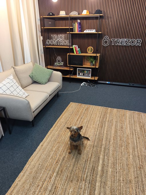 A cozy room with a couch, shelving unit displaying a Trezor hardware wallet, a 'Take Control' neon sign, and a small terrier dog sitting on a beige rug.