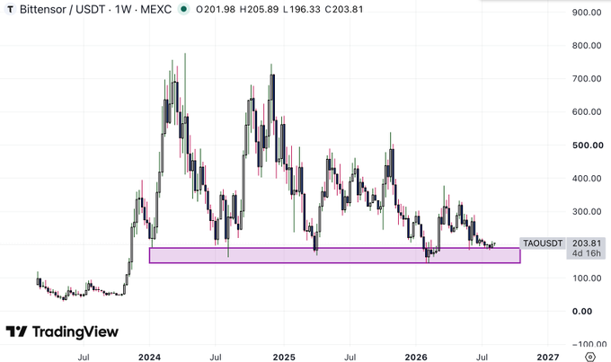 A TradingView weekly candlestick chart for 'Bittensor / USDT' (TAOUSDT) on MEXC, showing price ranging from approximately $100 to $900, with a purple horizontal zone drawn near the $203.81 level.