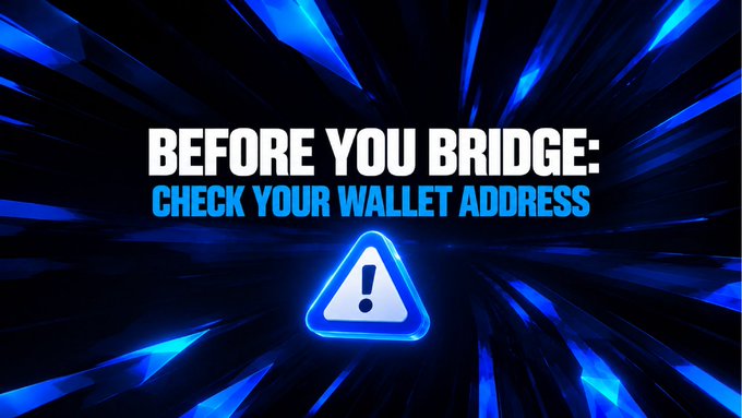 Warning screen stating 'BEFORE YOU BRIDGE: CHECK YOUR WALLET ADDRESS' in blue and white text on a dark background with a warning icon.