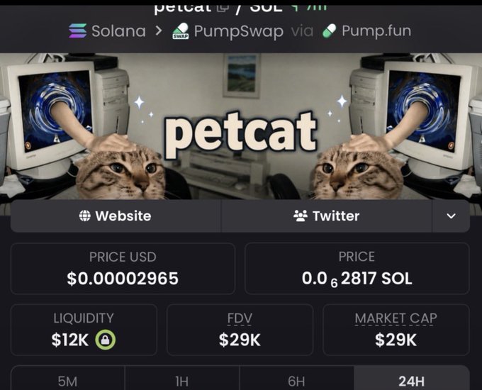 A screenshot from a cryptocurrency tracking platform showing the 'petcat' token, displaying a Solana logo indicating it is traded via PumpSwap and Pump.fun, with prices listed as $0.00002965 USD and 0.0₆2817 SOL, alongside liquidity of $12K and market cap of $29K.