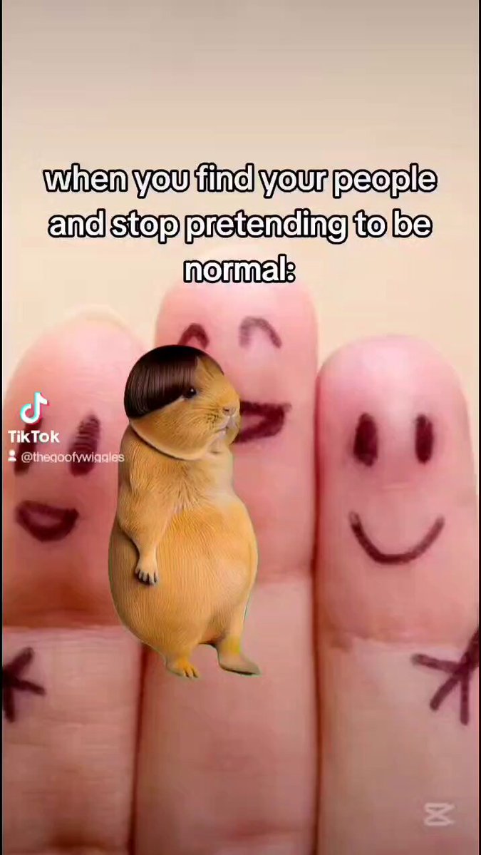 The image features a meme with three fingers adorned with smiley faces and a cartoon guinea pig standing next to them, wearing a hat. The caption of the meme reads "When you find your people and stop pretending to be normal".