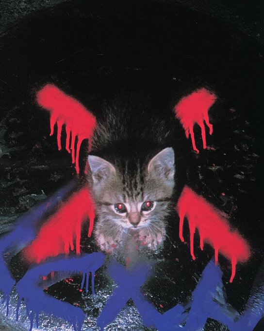 A small tabby kitten with red glowing eyes peers out from a dark background, surrounded by red and blue spray-painted X marks that drip downward. The eerie, ominous styling of the image—featuring demonic eyes and chaotic paint strokes—contrasts humorously with the wholesome adoption post advertising the kitten for "0.0666 SOL / 1500ED."