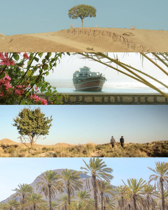 A collage of four landscape photographs: a lone tree on a sandy hill, a beached boat framed by flowers, two people walking in a desert, and a grove of palm trees before a mountain.