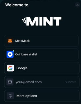 A 'Welcome to MINT' login screen offers options including MetaMask, Coinbase Wallet, Google, and email.
