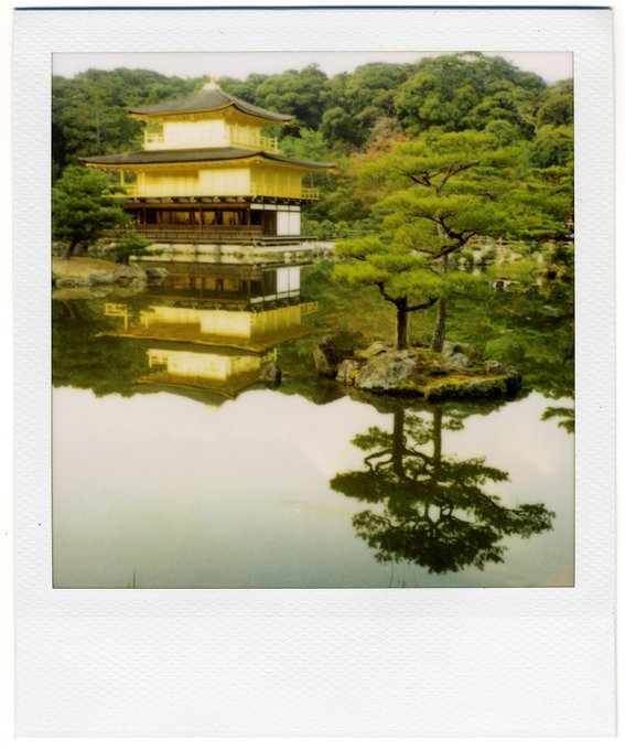 A Polaroid-style photograph of Kinkaku-ji (the Golden Pavilion) in Kyoto, Japan, reflected in a tranquil pond with manicured pine trees in the foreground.