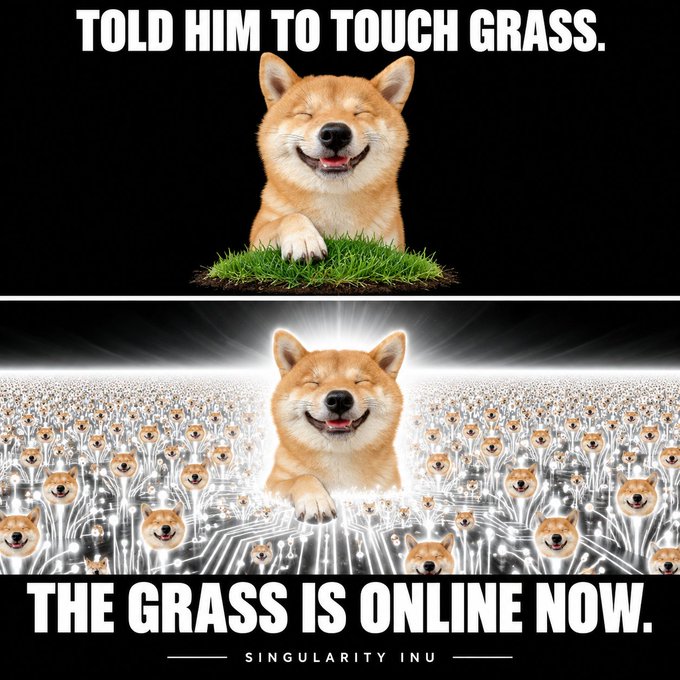 A two-panel meme featuring a Shiba Inu dog; the top reads 'TOLD HIM TO TOUCH GRASS' with the dog on a patch of grass, and the bottom reads 'THE GRASS IS ONLINE NOW' showing the dog surrounded by digital Shiba Inus on circuit boards, labeled 'SINGULARITY INU'.