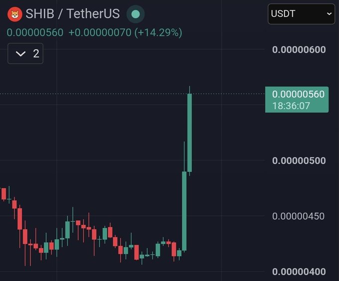 A SHIB/USDT candlestick chart shows a dramatic +14.29% surge, with price climbing from ~$0.0000049 to $0.00000560 at 18:36:07, visually reinforcing the post's bullish "F*ck the Bears" sentiment as the coin sharply breaks above prior resistance.