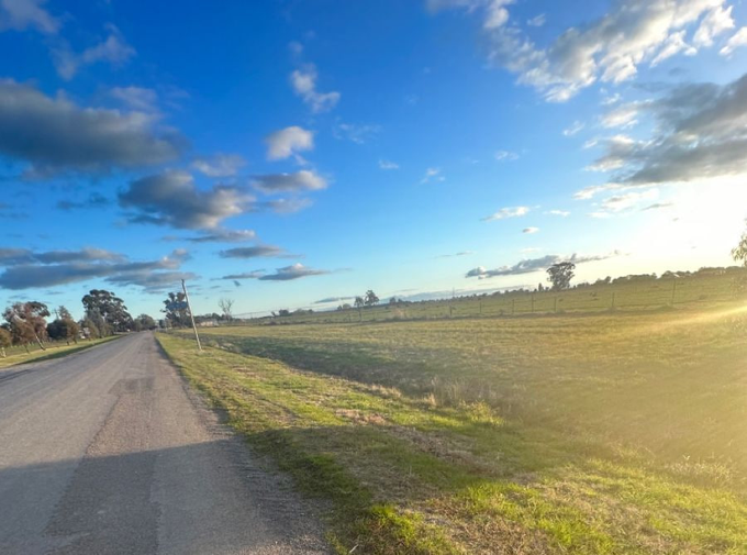 Scenic landscape photograph of a rural road stretching into the distance alongside grassy fields under a partly cloudy blue sky during golden hour.