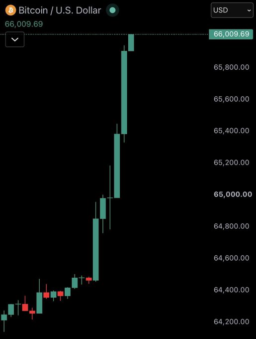 A Bitcoin (BTC/USD) price chart showing BTC trading at $66,009.69 with recent green candlesticks indicating a strong upward price movement.