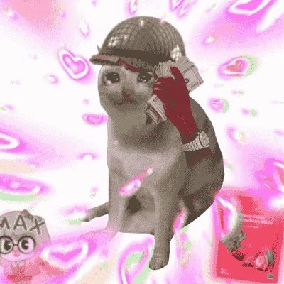 A cat wearing a glittery cap and red gloves holds a stack of cash to its ear like a phone, set against a pink heart-filled background, with "$cashcat" branding and a "Anita Maxx Wynn" meme reference nodding to the playful "send the cats higher" post.