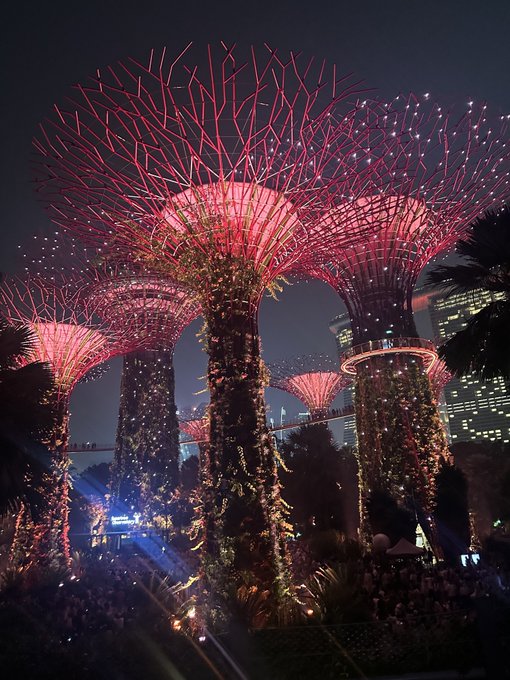 The image shows the iconic Supertrees at Gardens by the Bay in Singapore, illuminated in pink and red at night. The caption relates to the post as it captures the memorable sight the traveler experienced in Singapore, reflecting the ambivalent feelings expressed about their time at the TOKEN2049 conference in the city.