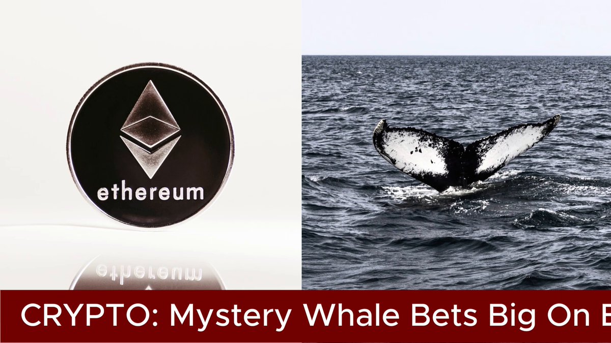 "Mystery Whale Bets Big On Ethereum Dip A newly created wallet pulled 17,675 $ETH worth 0.57 million per lookonchain. The wallet was created just six hours before the recent transaction. Fresh wallets making moves this", as seen in the image related to a crypto world and its relation with whale's behavior.