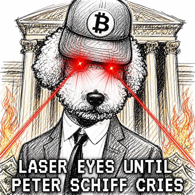 Sketch-style illustration of a poodle wearing a Bitcoin cap with red laser eyes shooting outward, captioned 'LASER EYES UNTIL PETER SCHIFF CRIES' against a burning building backdrop.