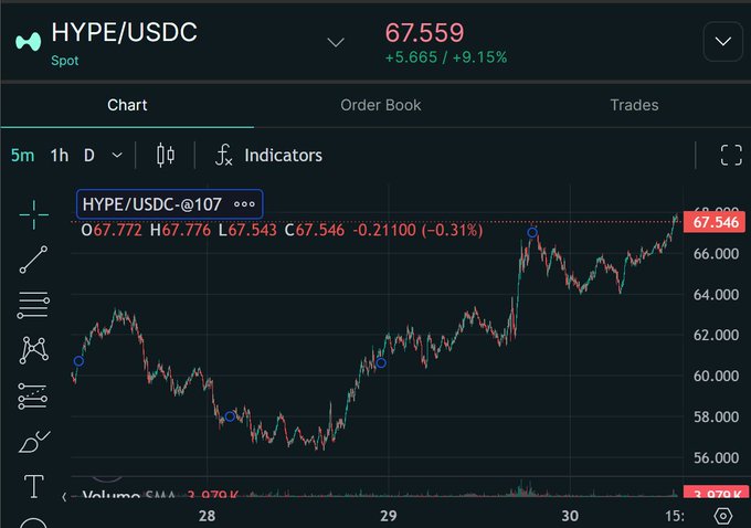 ?"HYPTHE HITS OTHERS.", which is a reference for users of Hype charting tool, as seen in the image.