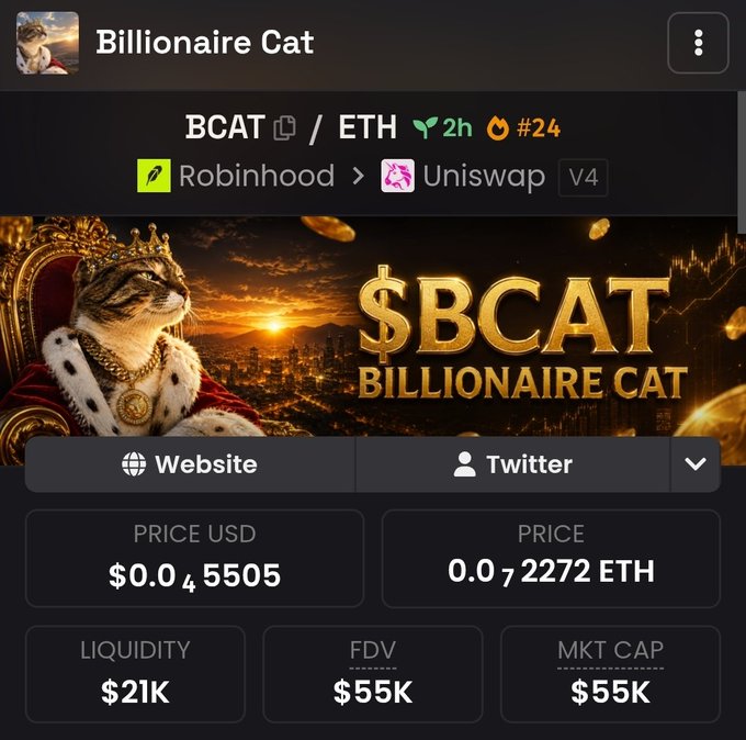 A cryptocurrency tracking screenshot of 'Billionaire Cat' (BCAT) priced at $0.045505 / 0.072272 ETH, with $21K liquidity and $55K FDV, showing a crowned cat against a sunset cityscape.