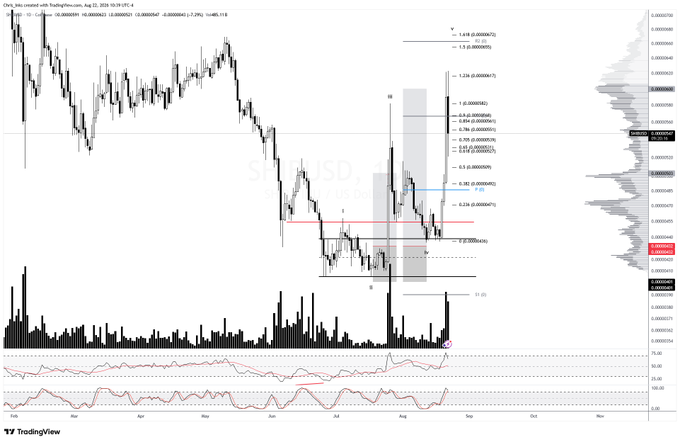 TradingView candlestick chart of SHIB/USD showing price action from October to September with Fibonacci retracement levels and an RSI indicator.